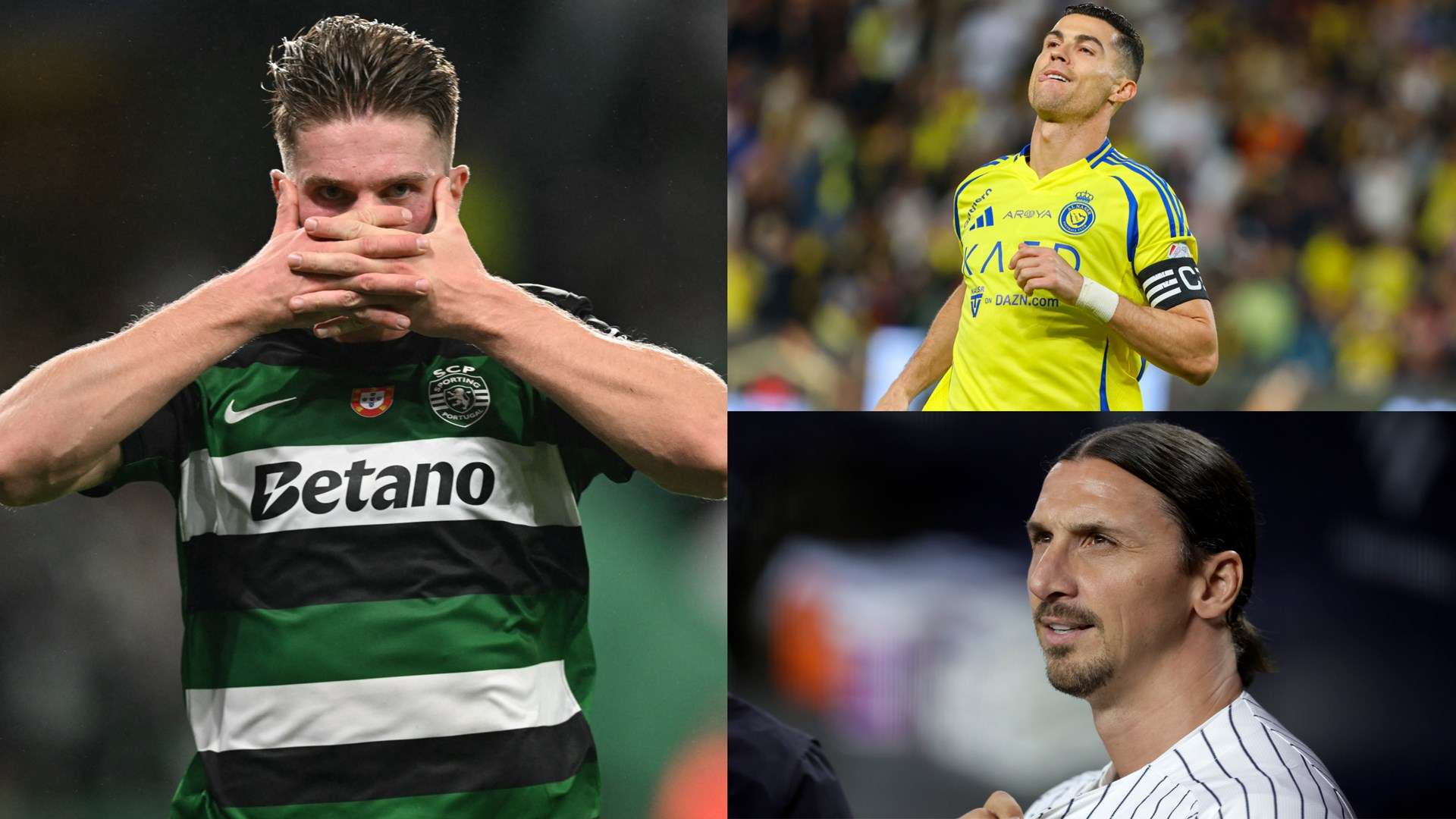 上灵活机动 上灵活机动